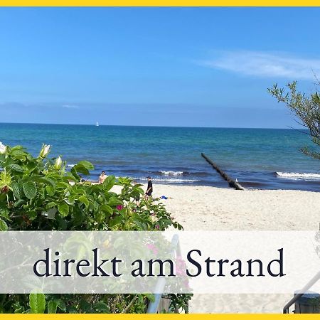 3 Zimmer App Duenengarten Fewo 58 Ostseebad Kühlungsborn Exteriér fotografie