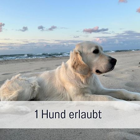 3 Zimmer App Duenengarten Fewo 58 Ostseebad Kühlungsborn Exteriér fotografie