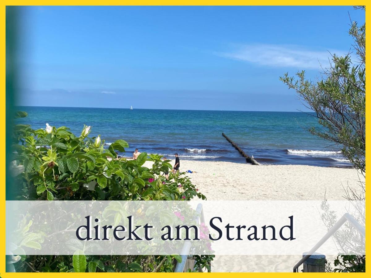 3 Zimmer App Duenengarten Fewo 58 Ostseebad Kühlungsborn Exteriér fotografie