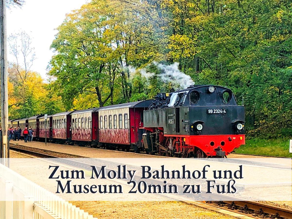 3 Zimmer App Duenengarten Fewo 58 Ostseebad Kühlungsborn Exteriér fotografie