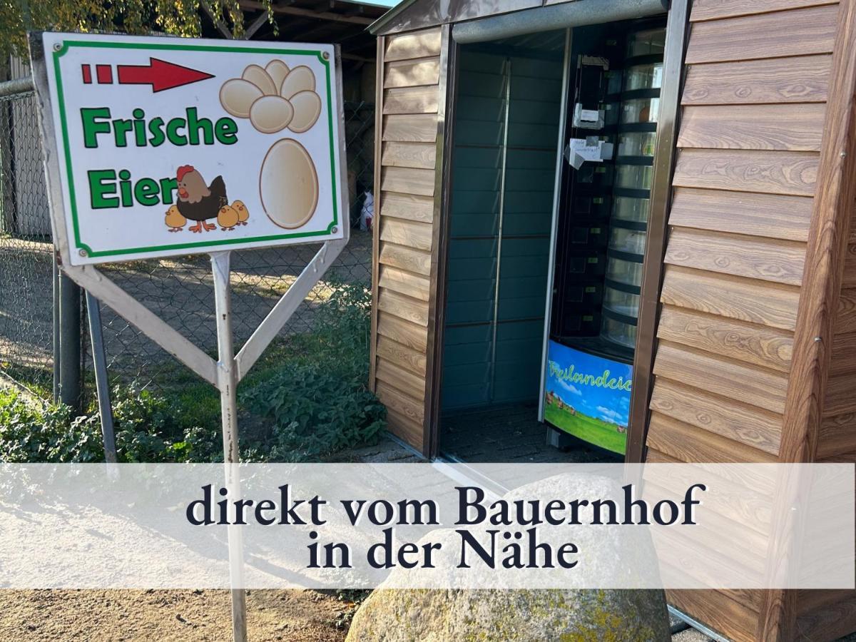 3 Zimmer App Duenengarten Fewo 58 Ostseebad Kühlungsborn Exteriér fotografie