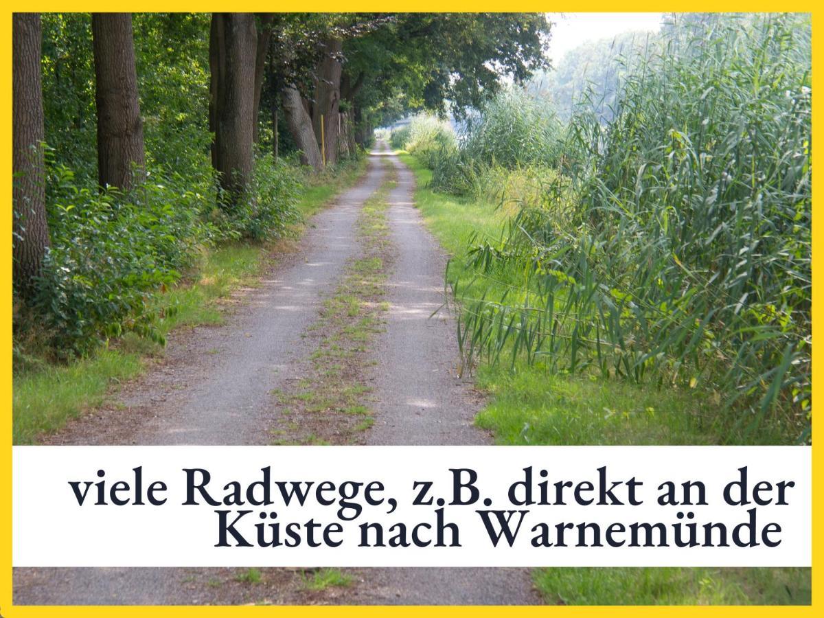 3 Zimmer App Duenengarten Fewo 58 Ostseebad Kühlungsborn Exteriér fotografie
