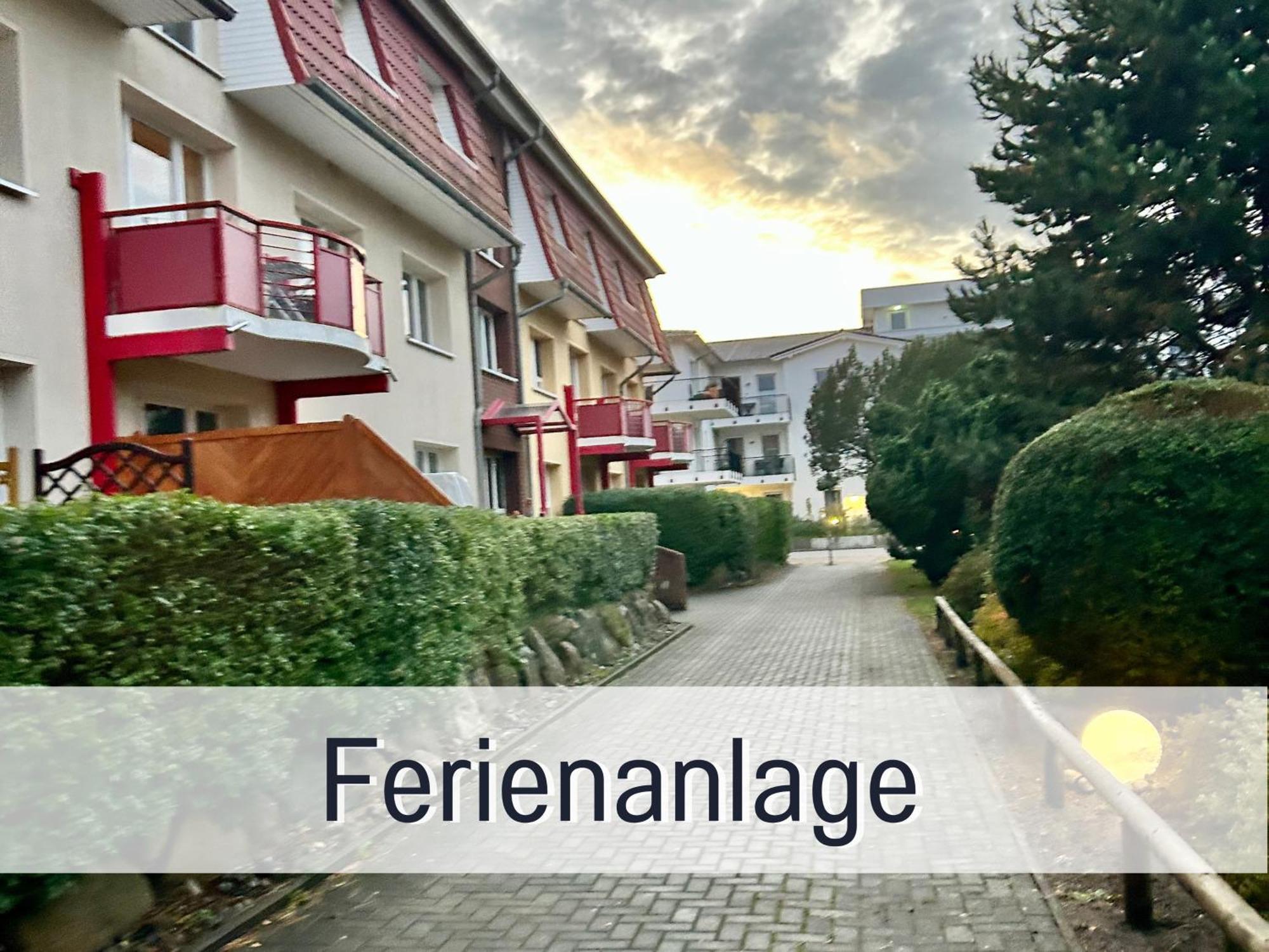 3 Zimmer App Duenengarten Fewo 58 Ostseebad Kühlungsborn Exteriér fotografie