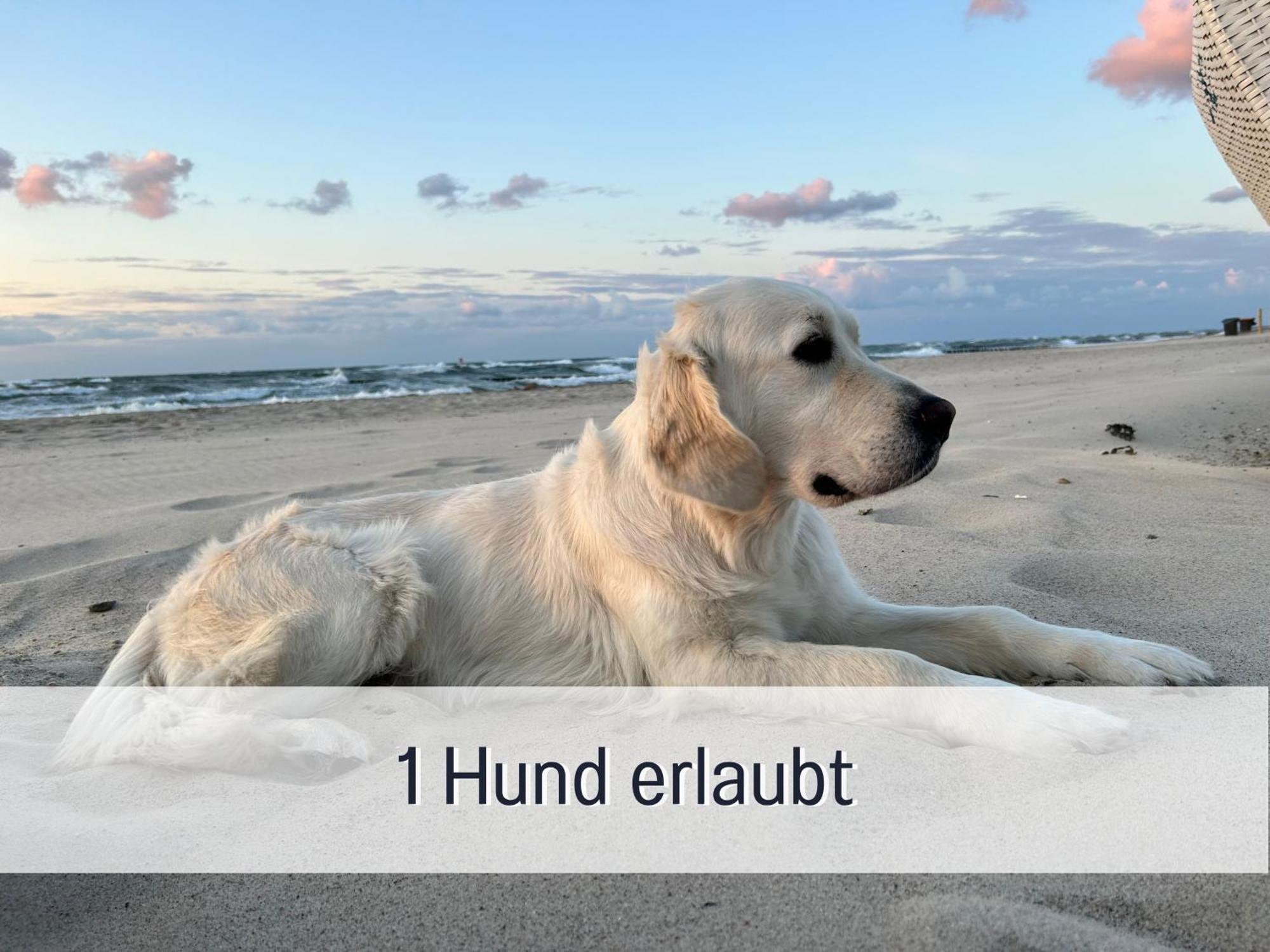 3 Zimmer App Duenengarten Fewo 58 Ostseebad Kühlungsborn Exteriér fotografie